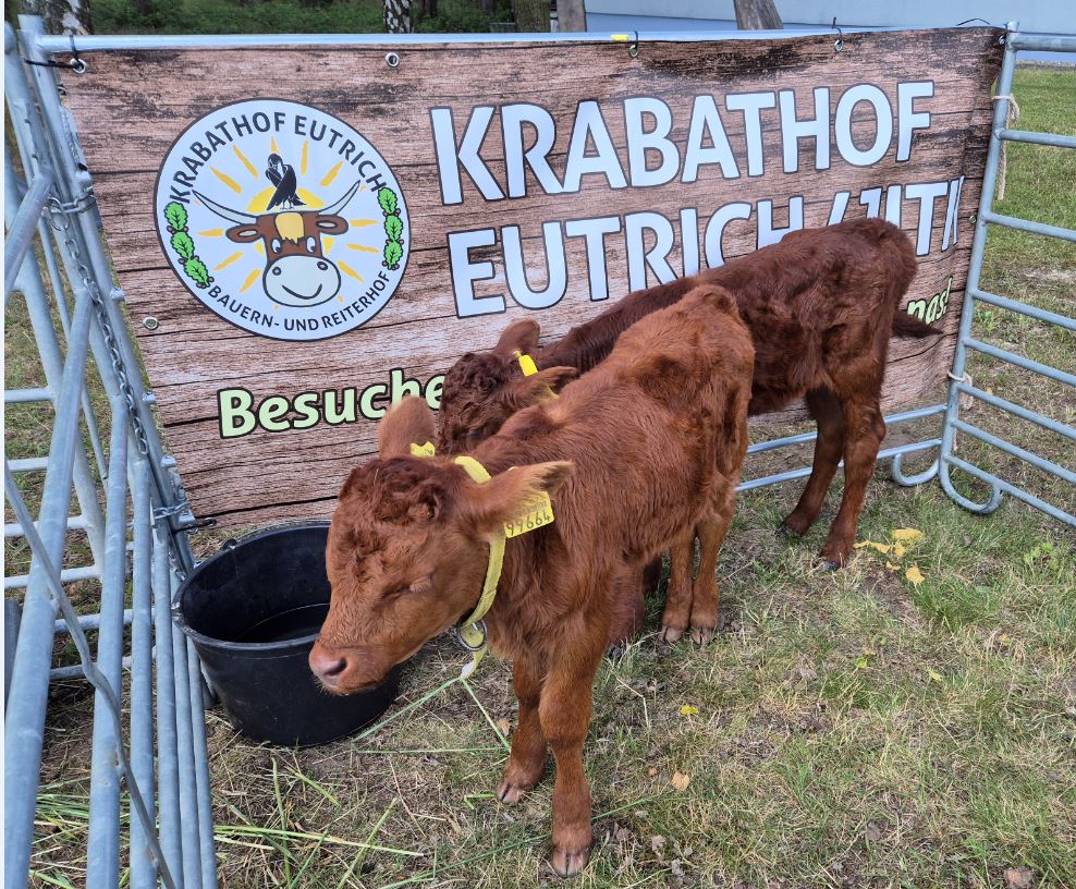 20260613 krabathof kalb