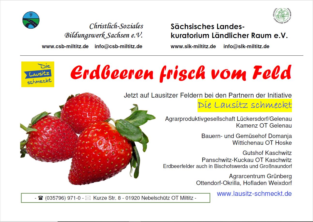 DLS erdbeere