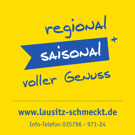 DLS infokasten web