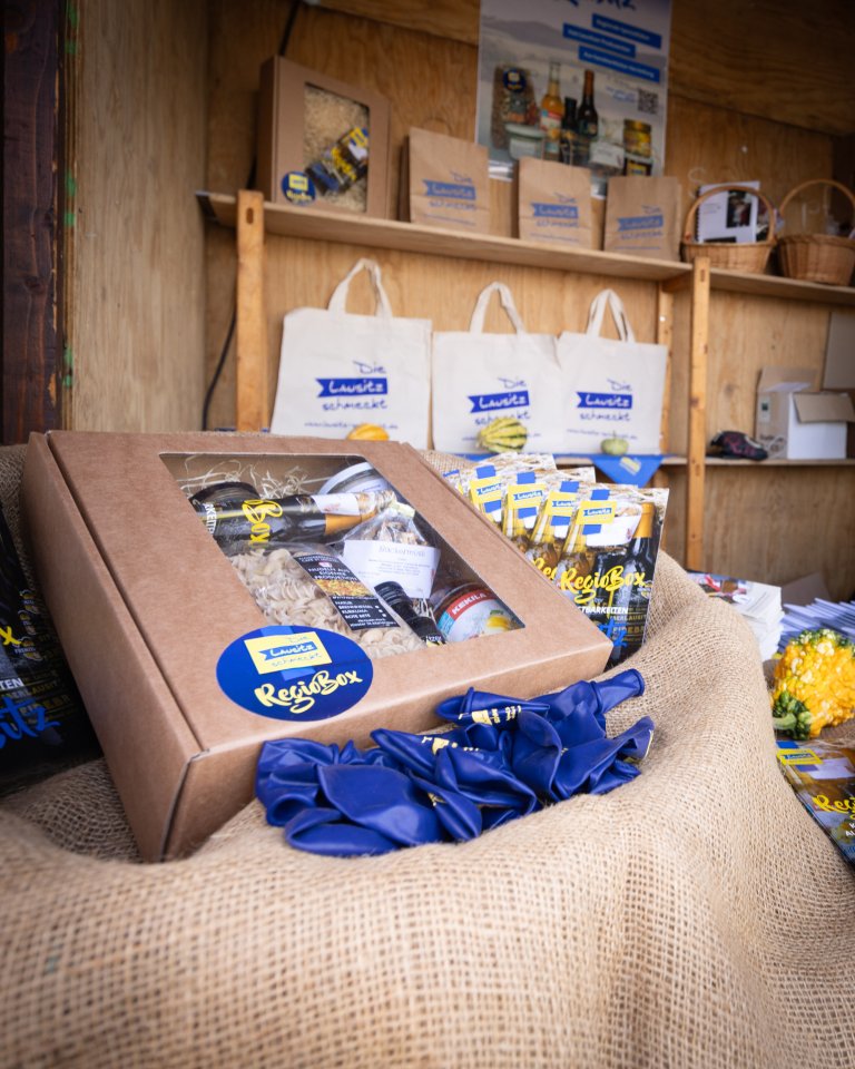 LEDF RegioBox Falk Opelt SLK